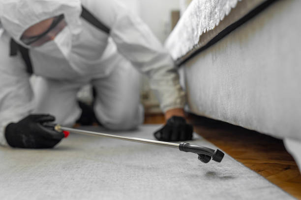 Professional Bed Bug Control technician working in Franklin Center, NJ