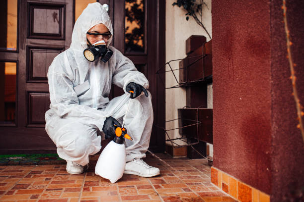 Reliable Bed Bug Control contractor in Franklin Center, NJ by Nex Pest Control