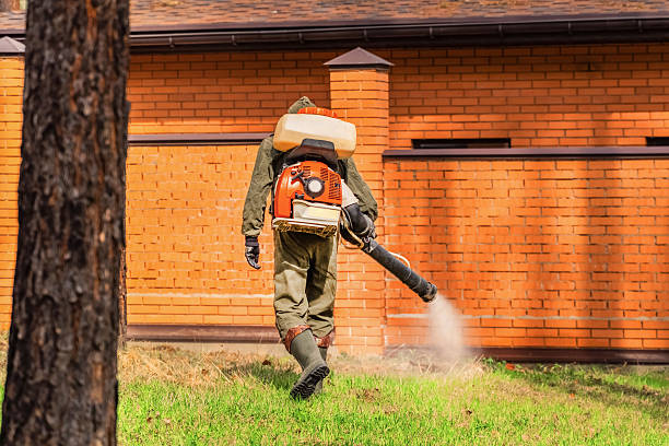 Trusted Bed Bug Control service in Franklin Center, NJ - Nex Pest Control